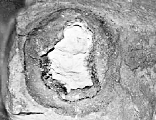 Серные капсулы, найденные экспедицией Уайетта